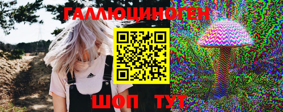 Надым  Псилоцибиновые грибы Psilocybe  Вход с VPN  Псилоцибиновые грибы Psilocybe 